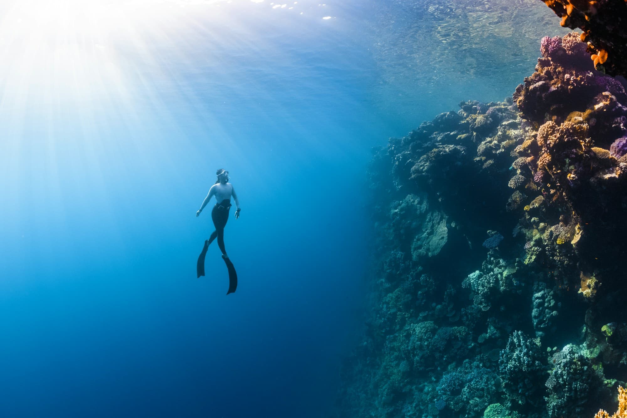 Freediver ascending beside a steep coral wall in beams of sunlight