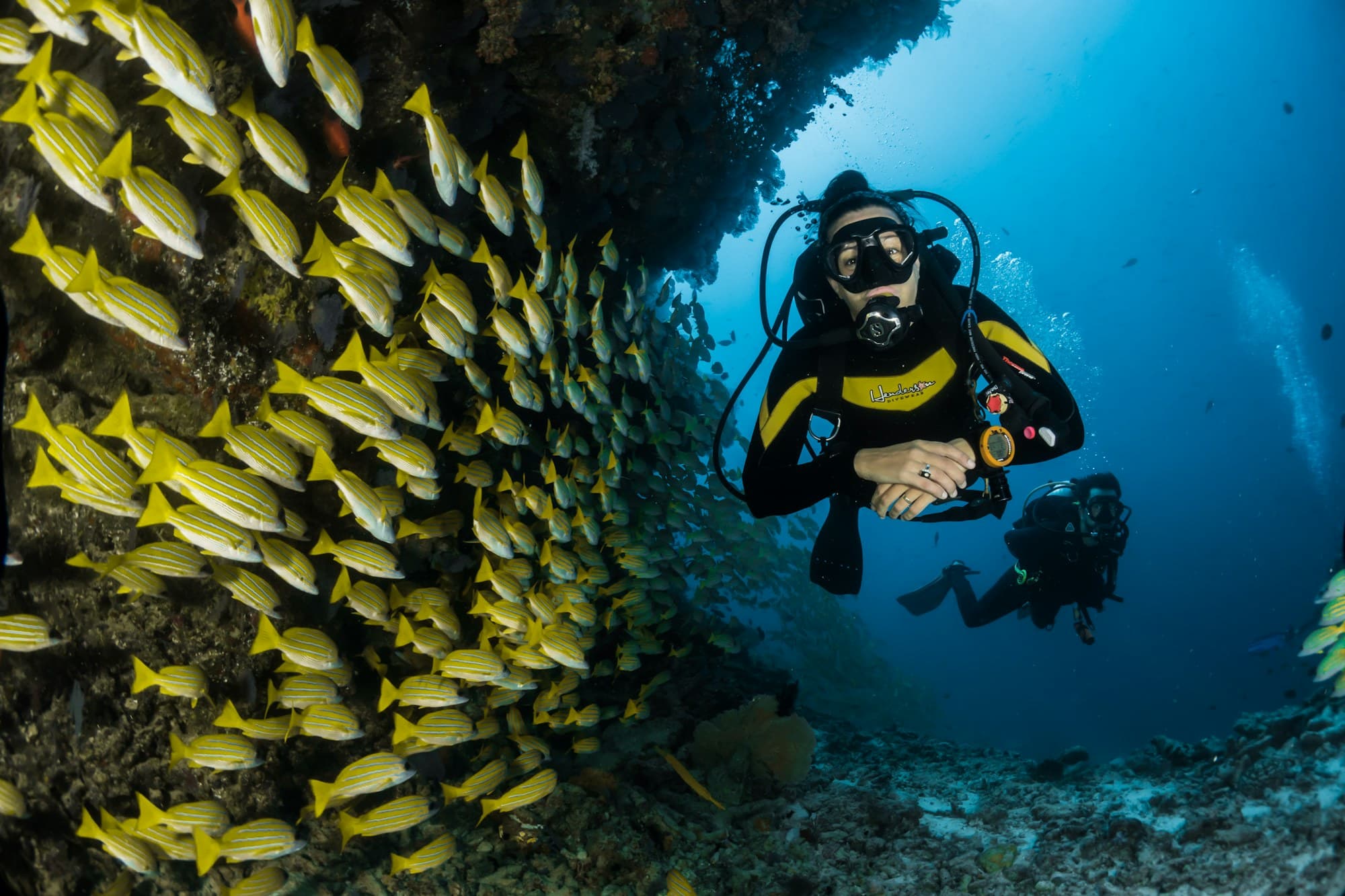 Scuba diver hovering near a coral wall with reef fish in clear blue water