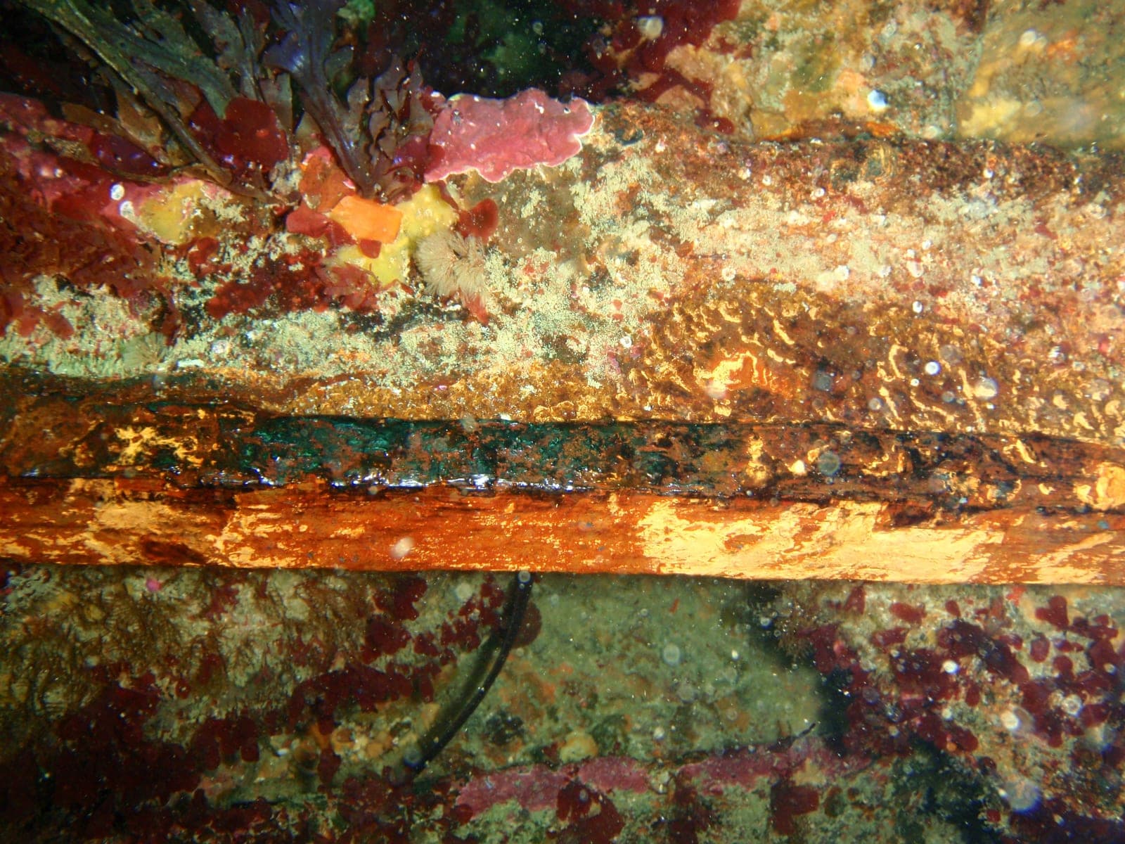 SS Umhlali — Wikimedia Commons | License: CC-BY-SA-3.0 | Source: http://commons.wikimedia.org/wiki/Special:FilePath/Wreckage%20of%20the%20Umhlali%20with%20encrustation%20worn%20off%20showing%20the%20underlying%20steel%20frame%20PA171939.jpg