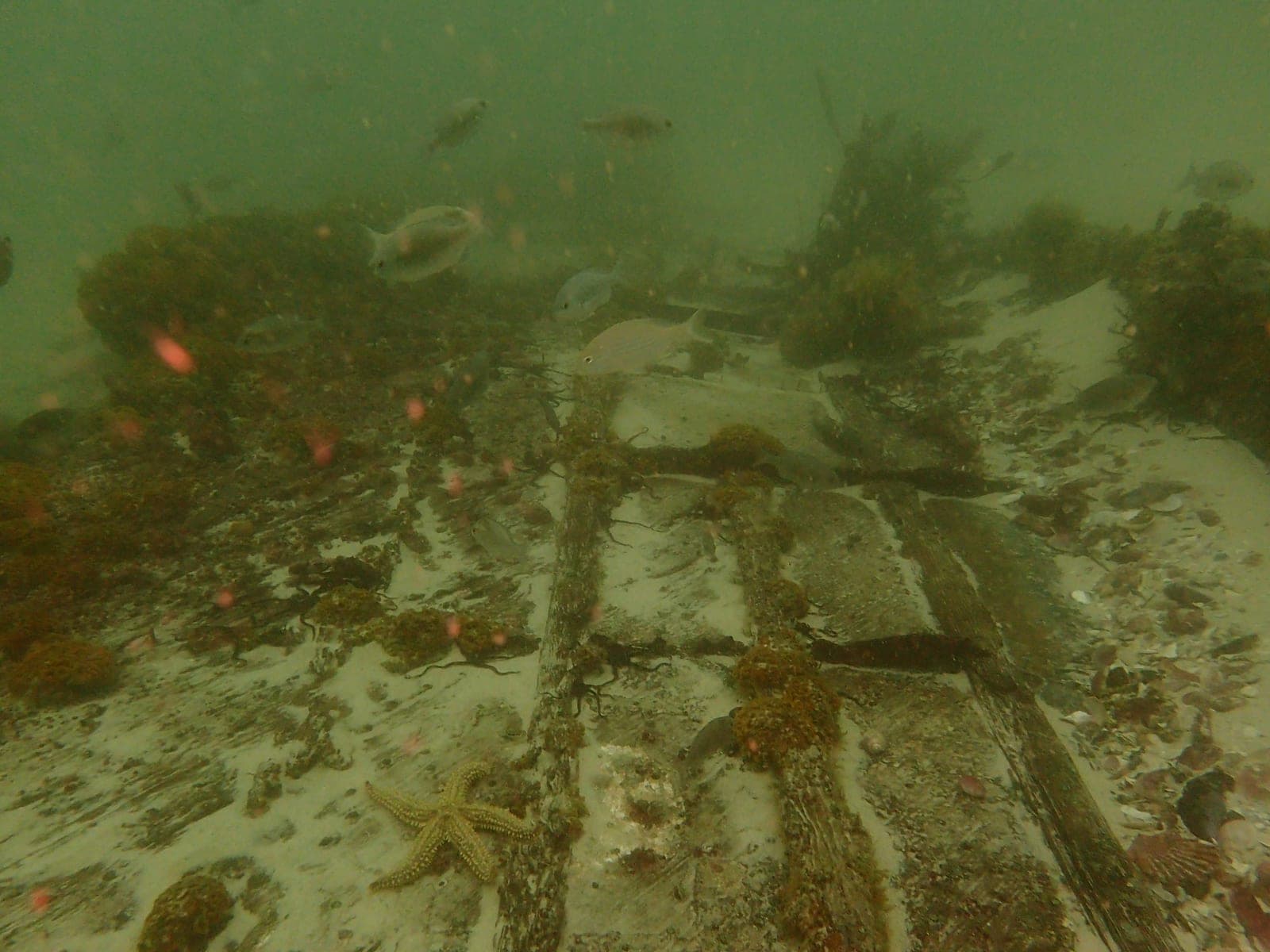 P87 — Wikimedia Commons | License: CC-BY-SA-3.0 | Source: http://commons.wikimedia.org/wiki/Special:FilePath/Wreckage%20at%20the%20P87%20wreck%20site%20in%20False%20Bay%20P9240943.jpg