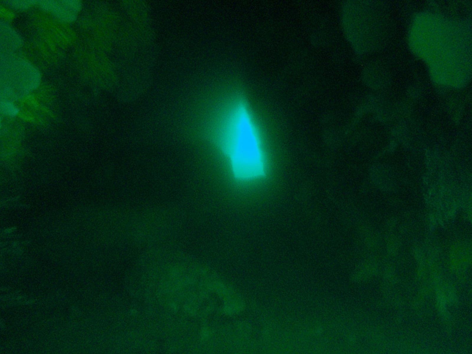 Cleeve's Tunnel — Wikimedia Commons | License: CC-BY-SA-3.0 | Source: http://commons.wikimedia.org/wiki/Special:FilePath/East%20tunnel%20at%20Cleeves%20tunnel%20P2274969.JPG