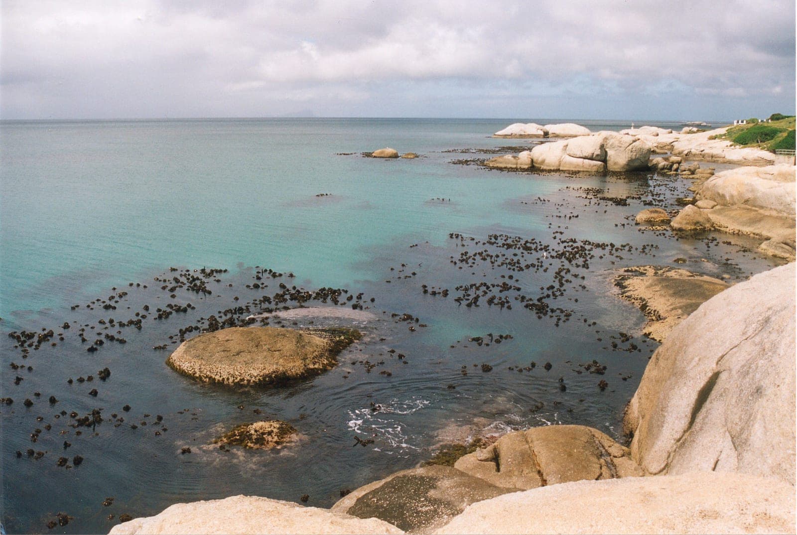 Penguin Point — Wikimedia Commons | License: CC-BY-SA-3.0 | Source: http://commons.wikimedia.org/wiki/Special:FilePath/Dive%20site%20at%20Penguin%20Point%20Boulders.jpg