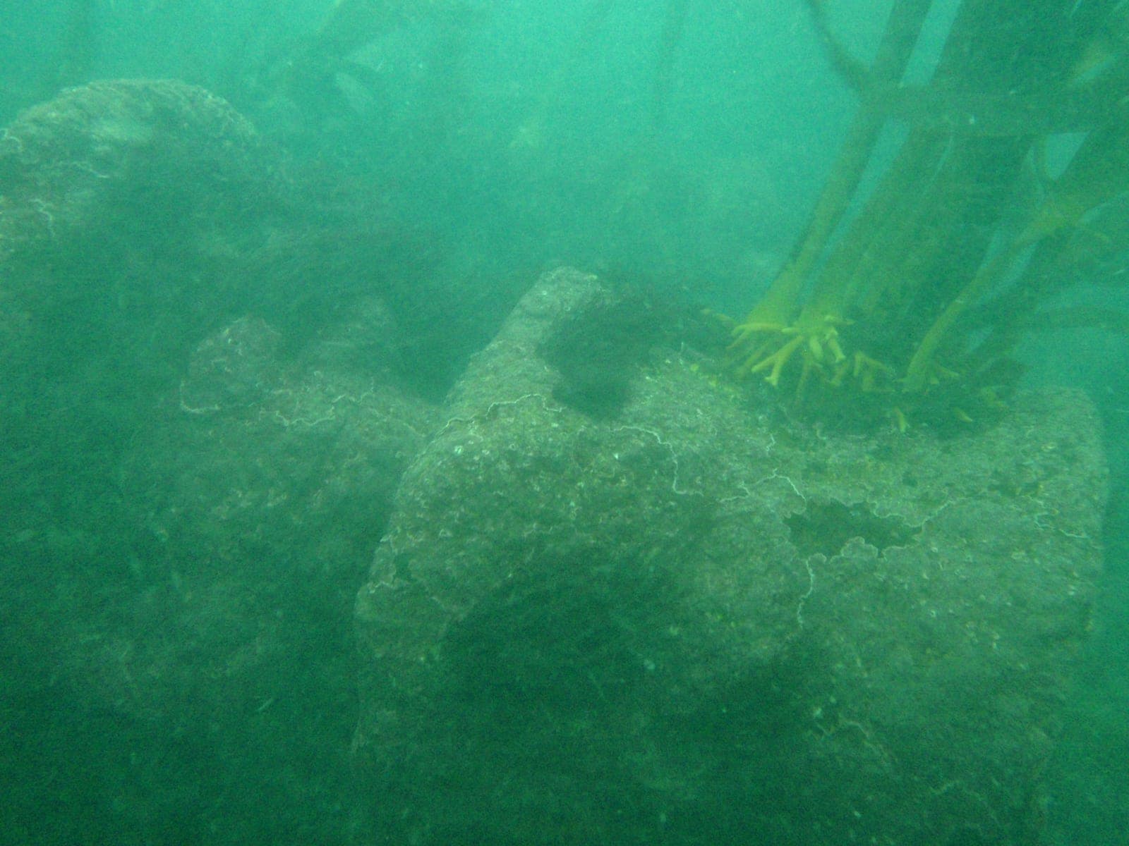 SS Bia — Wikimedia Commons | License: CC-BY-SA-3.0 | Source: http://commons.wikimedia.org/wiki/Special:FilePath/Part%20of%20a%20winch%20on%20the%20wreck%20of%20SS%20Bia%20P9191441.JPG