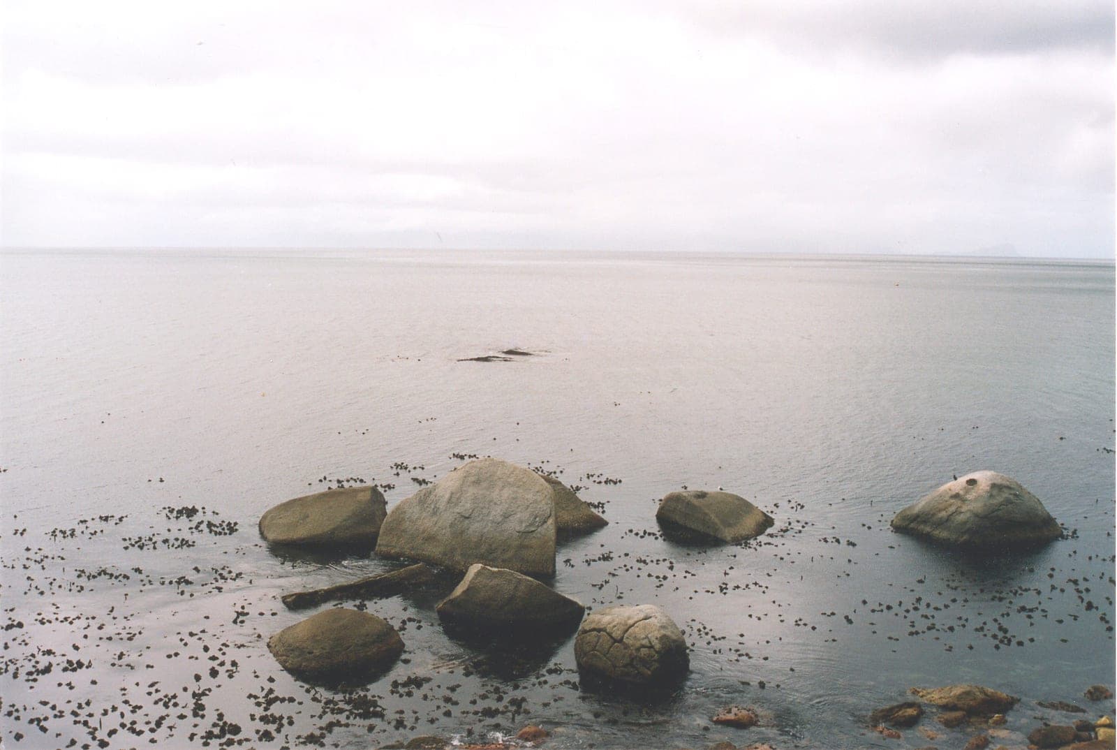 Stern Reef — Wikimedia Commons | License: CC-BY-SA-3.0 | Source: http://commons.wikimedia.org/wiki/Special:FilePath/Stern%20Reef1.jpg